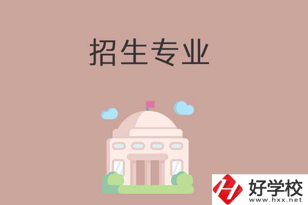 益陽有哪些高職院校設立了中職部？招生專業(yè)有哪些？