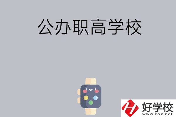 長(zhǎng)沙哪些公辦職高學(xué)校比較有特色？