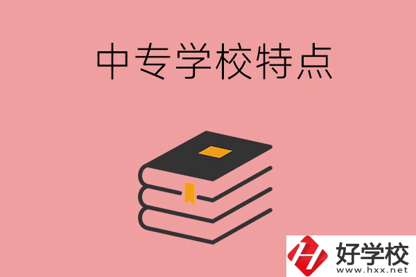 湖南省正規(guī)的中專學(xué)校，具備哪些特點？