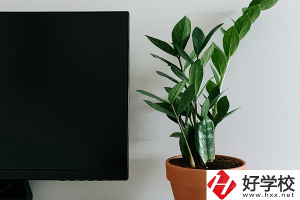 岳陽市網(wǎng)絡工程職業(yè)技術學校有哪些熱門專業(yè)？