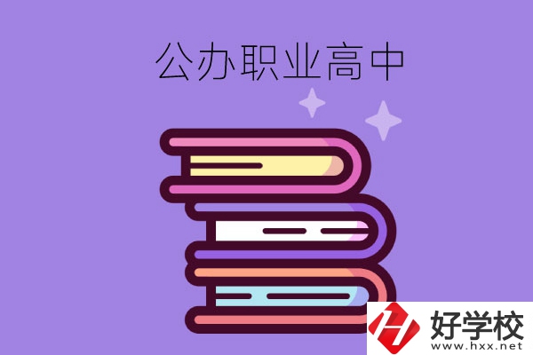 長(zhǎng)沙市有哪些公辦職業(yè)高中學(xué)校？