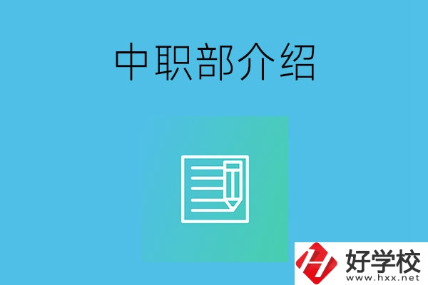 湘潭院校中職部介紹，這幾所學(xué)校你知道嗎？