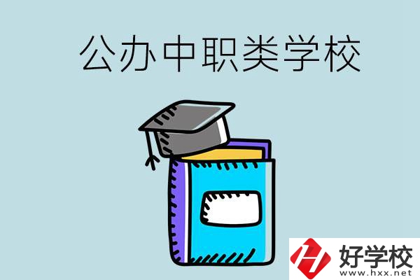 湘西的公辦中職類學校一共有多少所？