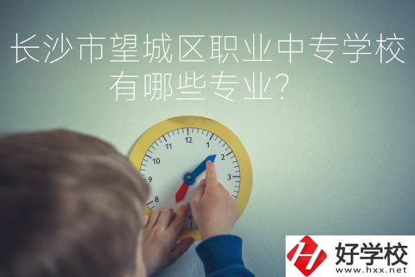 長沙市望城區(qū)職業(yè)中等專業(yè)學(xué)校有哪些專業(yè)？