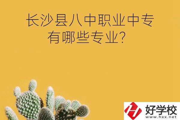 長(zhǎng)沙縣八中職業(yè)中專(zhuān)好不好？有哪些專(zhuān)業(yè)？