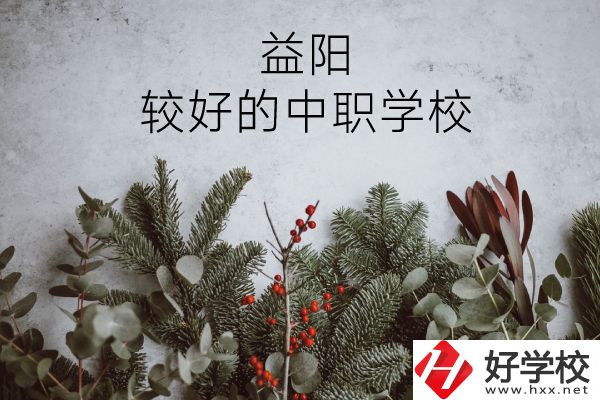 益陽(yáng)有哪些中職學(xué)校比較好？