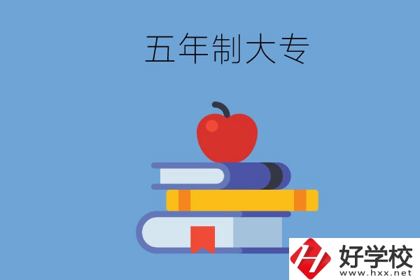 長(zhǎng)沙開設(shè)教育類專業(yè)的五年制大專有哪些？