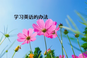 學(xué)習(xí)英語(yǔ)的辦法