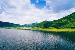 避免題海戰(zhàn)術