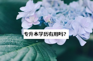 為什么那么多學(xué)長(zhǎng)學(xué)姐勸你去考普通專升本？這些問(wèn)題要想清楚