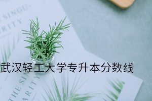 武漢輕工大學專升本分數(shù)線