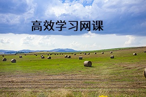 高效學(xué)習(xí)網(wǎng)課