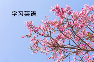 學(xué)習(xí)英語(yǔ)
