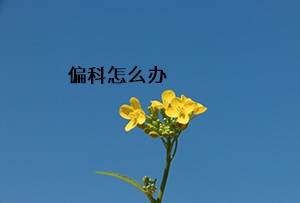 偏科怎么辦