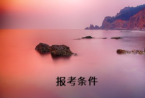 報考條件