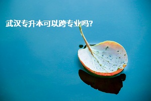 武漢專升本可以跨專業(yè)嗎？