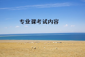 專業(yè)課考試內(nèi)容