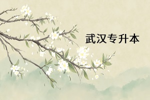 武漢專升本