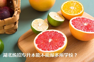 湖北統(tǒng)招專升本能不能報(bào)多所學(xué)校？