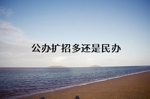 公辦擴招多還是民辦