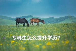 專科生提升學(xué)歷的方式有哪幾種？畢業(yè)后還能報(bào)考普通專升本考試嗎？