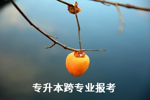 全日制統(tǒng)招專升本考試能跨專業(yè)報考嗎？有何限制？